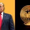 trump crypto